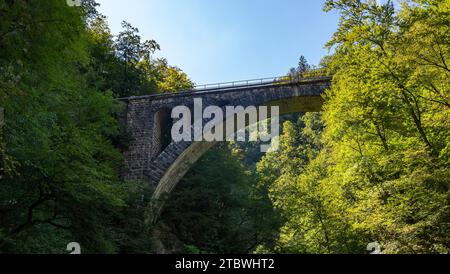 Ein Bild der steinernen Eisenbahnbrücke, die vom Besucherweg der Vintgar-Schlucht aus zu sehen ist Stockfoto