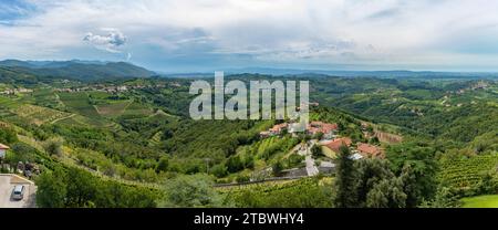 Ein Panoramabild der Weinberge und der Landschaft von Gori?ka Brda Stockfoto