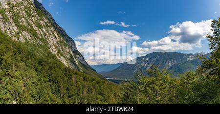 Ein Panoramabild des Bohinj-Tals vom Savica-Wasserfall aus gesehen Stockfoto