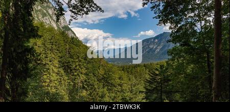 Ein Panoramabild des Bohinj-Tals vom Savica-Wasserfall aus gesehen Stockfoto