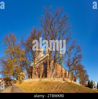 Ein Bild des Sandomierzer Doms im Herbst Stockfoto