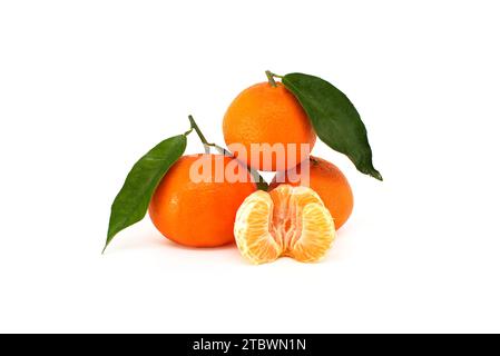 Mandarinen, Clementinen oder Mandarinorangene Früchte mit grünen Blättern, geschälte Segmente liegen vorne isoliert auf weißem Hintergrund Stockfoto