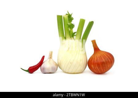 Frischer Fenchel, Knoblauch, Zwiebeln und rote Chilischoten auf weißem Hintergrund. Aromatisches Gemüse und Kräuter werden in allen möglichen Rezepten verwendet Stockfoto