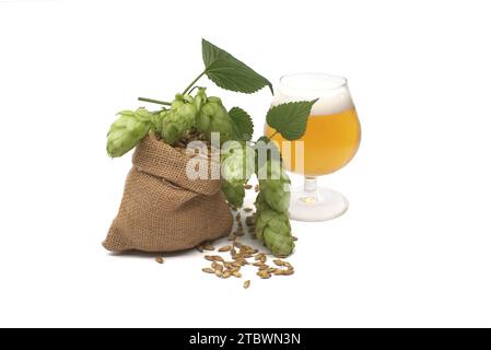 Bier- oder Getränkestillleben mit einem Zweig grünem Hopfen und Gerste, der aus einem hessischen Beutel verschüttet wird, zusammen mit einem eleganten Glas gekühlten Lagers oder vom Fass Stockfoto