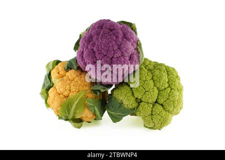 Bunte Blumenkohlkabaden auf weißem Hintergrund. Gesunde Ernährung Stockfoto