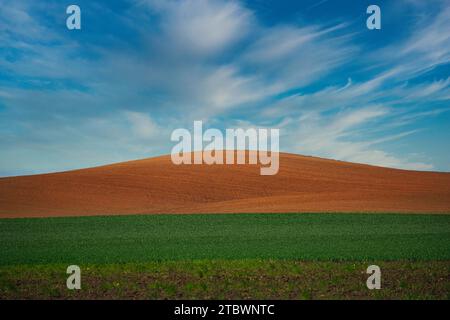 Landschaftlich reizvolle Agrarlandschaft mit gepflügten Hügeln und Wiese unter einem blauen Himmel mit flauschigen Wolken Stockfoto