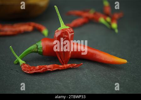 Frische und getrocknete ganze rote Chili-Paprika. Würziges Speisekonzept Stockfoto