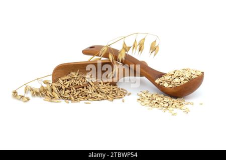 Haferkörner mit Rümpfen oder Schalen in Holzlöffel und Hafergrundeln gerollt und abgeflacht zu Flocken in Holzlöffel isoliert auf weißem Hintergrund Stockfoto