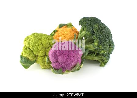 Frische bunte grüne, violette, gelbe Blumenkohl mit grünem Brokkoli isoliert auf weißem Hintergrund Stockfoto