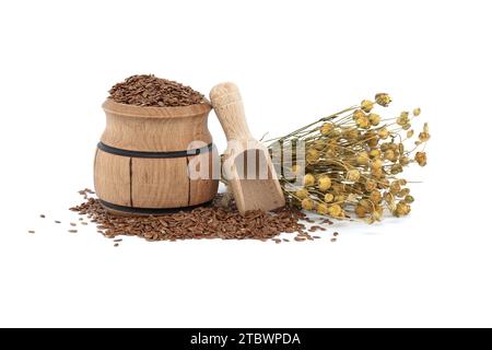 Leinsamen in einem kleinen Holzfass in der Nähe von Flachspflanzen und Holzschaufel, isoliert auf weißem Hintergrund Stockfoto