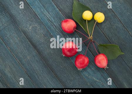 Gelber europäischer Krabbenapfel (Malus sylvestris) oder wilder Apfel und roter sibirischer Krabbenapfel Malus baccata auf blauem hölzernem Vintage-Hintergrund, Blick von oben Stockfoto