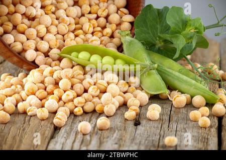 Ganze trockene gelbe Erbsen, die aus einer rustikalen Schüssel auslaufen, und frische Pflanze mit Hülsen auf einem rustikalen Holztisch Stockfoto