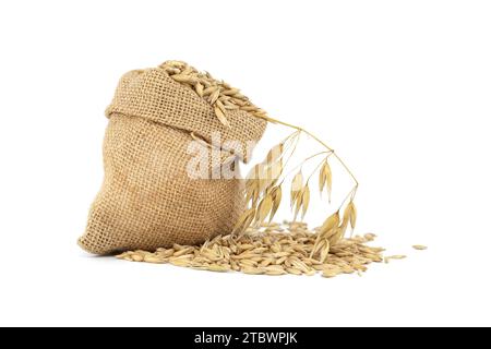 Haferkörner mit Rümpfen oder Schalen in Sackleinen, isoliert auf weißem Hintergrund. Landwirtschaft, Ernährung und Ernährung. Hafer (Avena sativa) oder Stockfoto