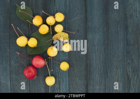 Gelber europäischer Krabbenapfel (Malus sylvestris) oder wilder Apfel und roter sibirischer Krabbenapfel Malus baccata auf blauem hölzernem Vintage-Hintergrund, Blick von oben Stockfoto