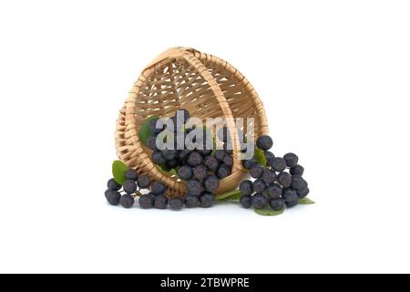 Aronia, allgemein bekannt als die Apfelbeere, mit Blättern. Frisch gepflückte, selbstgewachsene Aronia-Beeren isoliert auf weißem Hintergrund. Schwarze Aronia-Beeren Stockfoto