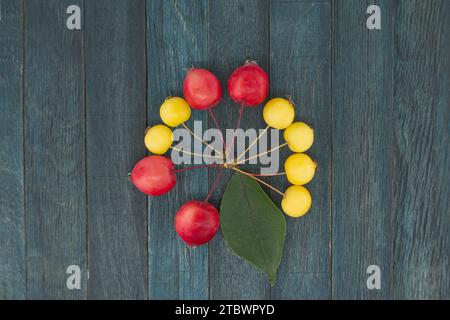 Gelber europäischer Krabbenapfel (Malus sylvestris) oder wilder Apfel und roter sibirischer Krabbenapfel Malus baccata auf blauem hölzernem Vintage-Hintergrund, Blick von oben Stockfoto