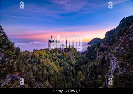 Die Burg Neuschwanstein, von der Marienbrücke aus gesehen, bei Sonnenaufgang im Herbst, erhebt sich aus dem Nebel. Stockfoto