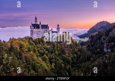 Die Burg Neuschwanstein, von der Marienbrücke aus gesehen, bei Sonnenaufgang im Herbst, erhebt sich aus dem Nebel. Stockfoto