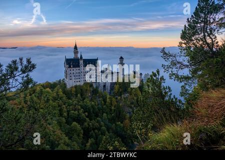 Die Burg Neuschwanstein, von der Marienbrücke aus gesehen, bei Sonnenaufgang im Herbst, erhebt sich aus dem Nebel. Stockfoto