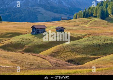 Hügeliges Ackerland mit Holzhütten und Bäumen auf der Seiser Alm, Seiser Alm, im Herbst bei Sonnenaufgang. Stockfoto