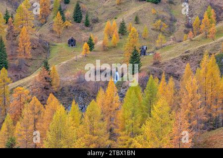 Herbstliche Landschaft auf dem Passo Giau mit gelben Lärchen, die auf Weiden und Holzhütten wachsen. Stockfoto