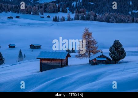 Hügeliges Ackerland mit Holzhütten und Bäumen auf der Seiser Alm, Seiser Alm, im Herbst bei Sonnenaufgang mit frischem Schnee bedeckt. Stockfoto