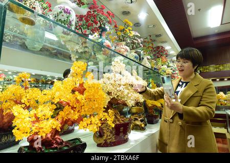 LIANYUNGANG, CHINA - 9. DEZEMBER 2023 - Ein grenzüberschreitender E-Commerce-Anker ist Livestream, der Kristallschmuck in Lianyungang, Provinz Jiangsu, China verkauft Stockfoto