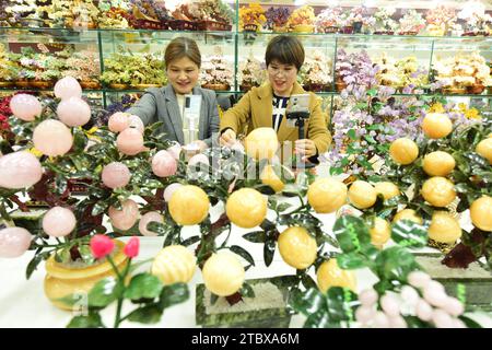 LIANYUNGANG, CHINA - 9. DEZEMBER 2023 - Ein grenzüberschreitender E-Commerce-Anker ist Livestream, der Kristallschmuck in Lianyungang, Provinz Jiangsu, China verkauft Stockfoto
