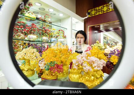 LIANYUNGANG, CHINA - 9. DEZEMBER 2023 - Ein grenzüberschreitender E-Commerce-Anker ist Livestream, der Kristallschmuck in Lianyungang, Provinz Jiangsu, China verkauft Stockfoto