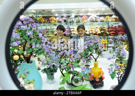 LIANYUNGANG, CHINA - 9. DEZEMBER 2023 - Ein grenzüberschreitender E-Commerce-Anker ist Livestream, der Kristallschmuck in Lianyungang, Provinz Jiangsu, China verkauft Stockfoto