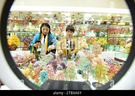 LIANYUNGANG, CHINA - 9. DEZEMBER 2023 - Ein grenzüberschreitender E-Commerce-Anker ist Livestream, der Kristallschmuck in Lianyungang, Provinz Jiangsu, China verkauft Stockfoto