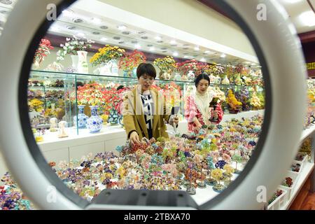 LIANYUNGANG, CHINA - 9. DEZEMBER 2023 - Ein grenzüberschreitender E-Commerce-Anker ist Livestream, der Kristallschmuck in Lianyungang, Provinz Jiangsu, China verkauft Stockfoto