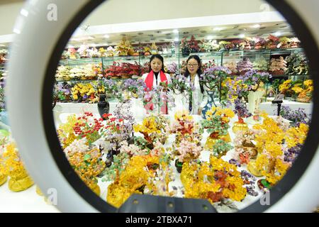 LIANYUNGANG, CHINA - 9. DEZEMBER 2023 - Ein grenzüberschreitender E-Commerce-Anker ist Livestream, der Kristallschmuck in Lianyungang, Provinz Jiangsu, China verkauft Stockfoto
