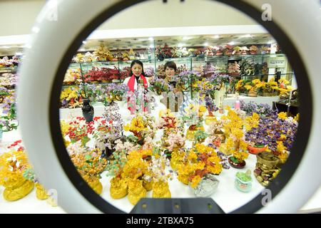 LIANYUNGANG, CHINA - 9. DEZEMBER 2023 - Ein grenzüberschreitender E-Commerce-Anker ist Livestream, der Kristallschmuck in Lianyungang, Provinz Jiangsu, China verkauft Stockfoto
