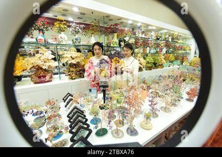LIANYUNGANG, CHINA - 9. DEZEMBER 2023 - Ein grenzüberschreitender E-Commerce-Anker ist Livestream, der Kristallschmuck in Lianyungang, Provinz Jiangsu, China verkauft Stockfoto