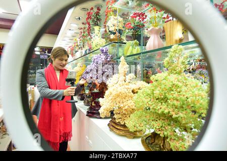 LIANYUNGANG, CHINA - 9. DEZEMBER 2023 - Ein grenzüberschreitender E-Commerce-Anker ist Livestream, der Kristallschmuck in Lianyungang, Provinz Jiangsu, China verkauft Stockfoto