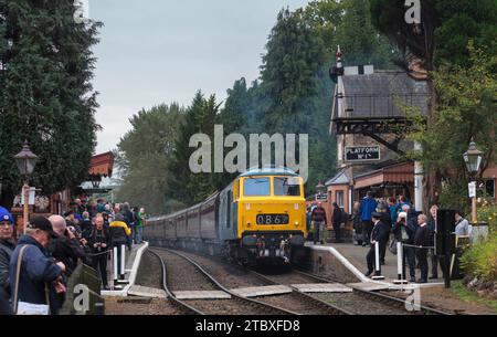 Erhaltene Hymek-Diesellokomotive der Baureihe 35 D7076, umgeben von Eisenbahnliebhabern in Hampton Loade auf der erhaltenen Severn Valley Railway. Stockfoto