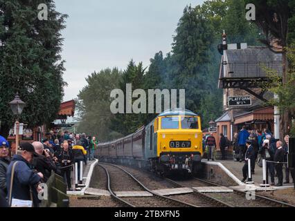 Erhaltene Hymek-Diesellokomotive der Baureihe 35 D7076, umgeben von Eisenbahnliebhabern in Hampton Loade auf der erhaltenen Severn Valley Railway. Stockfoto