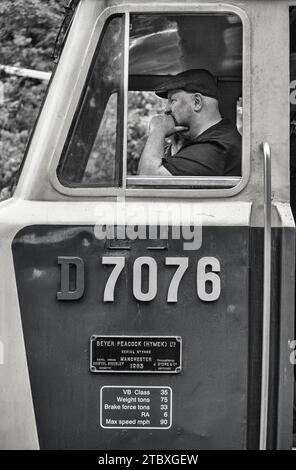 Der Fahrer der erhaltenen Hymek-Lokomotive D7076 der Baureihe 35 auf der Severn-Talbahn Stockfoto