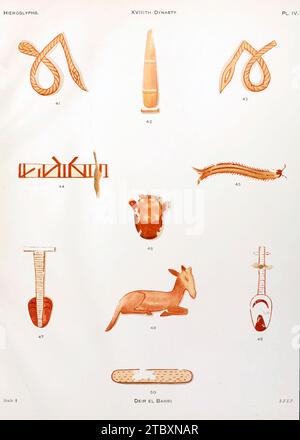 Hieroglyphen aus Deir EL Bahri, Illustration Stockfoto