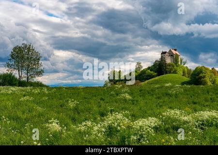 Wunderschöne grüne Frühlingslandschaft rund um das Schloss Waldburg in Oberschwaben bei Ravensburg Stockfoto