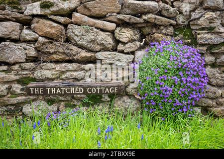 Das Namensschild des reetgedeckten Cottage auf einer Steinmauer umgeben von Blumen. Stockfoto