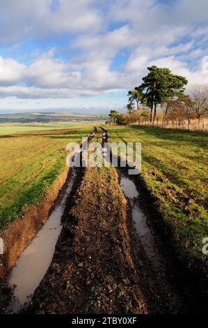 Eine mehrfach gerutschte Straße in Wiltshire, die durch Geländefahrzeuge beschädigt wurde. Stockfoto