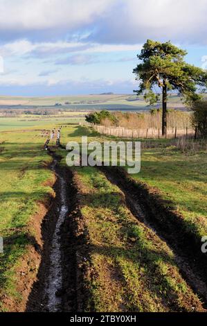 Eine mehrfach gerutschte Straße in Wiltshire, die durch Geländefahrzeuge beschädigt wurde. Stockfoto