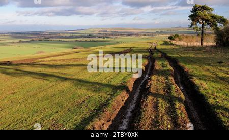 Eine mehrfach gerutschte Straße in Wiltshire, die durch Geländefahrzeuge beschädigt wurde. Stockfoto