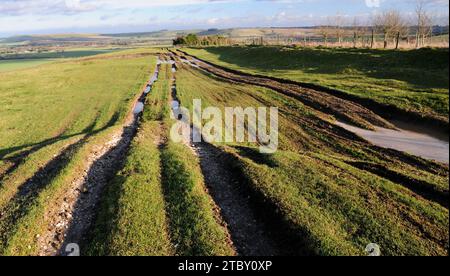 Eine mehrfach gerutschte Straße in Wiltshire, die durch Geländefahrzeuge beschädigt wurde. Stockfoto