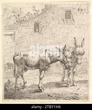 Zwei Esel stehen auf einem grasbewachsenen Hof, einer in Profilansicht nach rechts und der andere hinten in Dreiviertelansicht, ein Hund und eine Gebäudewand mit zwei Fenstern hinter 2012 von Karel Dujardin Stockfoto