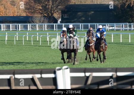 Ascot, Großbritannien. November 2023. Fahrer beim Coral Hürdle Race beim November Racing Saturday Meeting auf der Ascot Racecourse. Kredit: Maureen McLean/Alamy Stockfoto