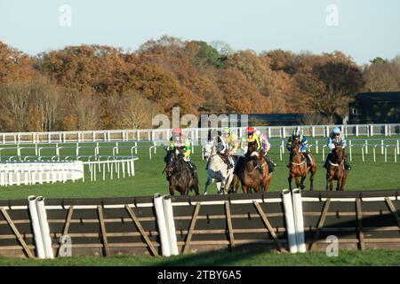 Ascot, Großbritannien. November 2023. Die Fahrer im UK Mare's Handicap Hürdenrennen auf der Ascot Racecourse beim November Racing Saturday Meeting. Kredit: Maureen McLean/Alamy Stockfoto