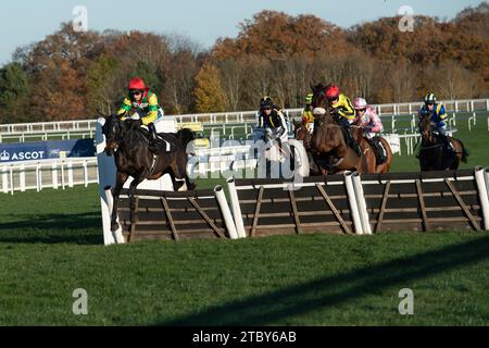 Ascot, Großbritannien. November 2023. Die Fahrer im UK Mare's Handicap Hürdenrennen auf der Ascot Racecourse beim November Racing Saturday Meeting. Kredit: Maureen McLean/Alamy Stockfoto